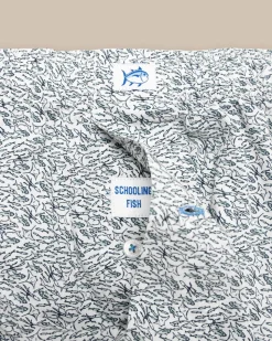 Schooling Fish Boxer