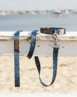 ST x Pawsitivity Schooling Fish Dog Leash