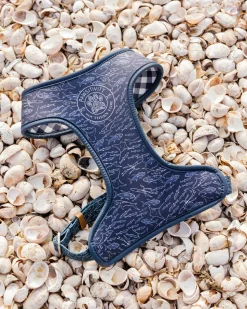 ST x Pawsitivity Schooling Fish Dog Harness